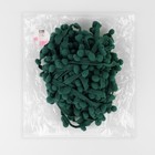 Тесьма декоративная с помпонами, 25 ± 5 мм, 9,1 ± 0,5 м, цвет зелёный - Фото 3
