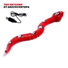 Змея радиоуправляемая «Джунгли», работает от аккумулятора, цвет красный - Фото 3