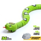 Змея радиоуправляемая «Джунгли», работает от аккумулятора, цвет зеленый - фото 7168449