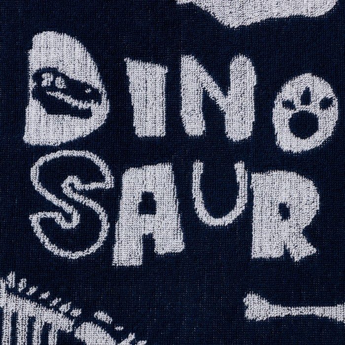 Полотенце махровое «Этель» Dinosaur, 70×130 см, хлопок 100%, сине-белое