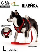 Шлейка с поводком, размер L, ОШ 33 см, ОГ 36-48 см, со светоотражающей нашивкой, мягкая, красная - Фото 1