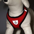 Шлейка с поводком, размер L, ОШ 33 см, ОГ 36-48 см, со светоотражающей нашивкой, мягкая, красная - Фото 3