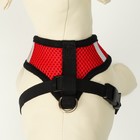 Шлейка с поводком, размер L, ОШ 33 см, ОГ 36-48 см, со светоотражающей нашивкой, мягкая, красная - Фото 4