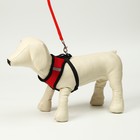 Шлейка с поводком, размер L, ОШ 33 см, ОГ 36-48 см, со светоотражающей нашивкой, мягкая, красная - Фото 2