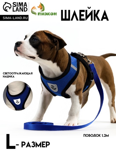 Комплект амуниции с мягкой шлейкой и светоотражающей нашивкой, L, ОШ 33 см, ОГ 36-48 см, синий 76143