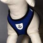 Комплект амуниции с мягкой шлейкой и светоотражающей нашивкой, L, ОШ 33 см, ОГ 36-48 см, синий 76143 - Фото 3