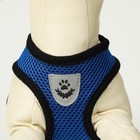 Комплект амуниции с мягкой шлейкой и светоотражающей нашивкой, L, ОШ 33 см, ОГ 36-48 см, синий 76143 - Фото 6