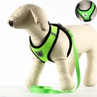 Шлейка с поводком, размер M, ОШ 26 см, ОГ 36-44 см, с светоотражающей нашивкой, мягкая, зелёная - Фото 1