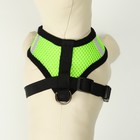 Шлейка с поводком, размер M, ОШ 26 см, ОГ 36-44 см, с светоотражающей нашивкой, мягкая, зелёная - Фото 4