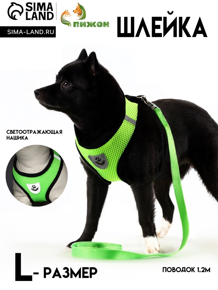 Шлейка с поводком, размер L, ОШ 33, ОГ 36-48, мягкая, со светоотражающей нашивкой, зелёная - Фото 1