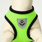 Шлейка с поводком, размер L, ОШ 33, ОГ 36-48, мягкая, со светоотражающей нашивкой, зелёная - Фото 6