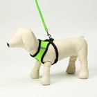 Шлейка с поводком, размер L, ОШ 33, ОГ 36-48, мягкая, со светоотражающей нашивкой, зелёная - Фото 2