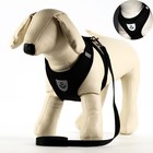 Шлейка с поводком, размер L, ОШ 33 см, ОГ 36-48 см, с светоотражающей нашивкой, мягкая, чёрная - Фото 1