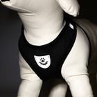 Шлейка с поводком, размер L, ОШ 33 см, ОГ 36-48 см, с светоотражающей нашивкой, мягкая, чёрная - Фото 3