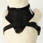 Шлейка с поводком, размер L, ОШ 33 см, ОГ 36-48 см, с светоотражающей нашивкой, мягкая, чёрная - Фото 5