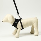 Шлейка с поводком, размер L, ОШ 33 см, ОГ 36-48 см, с светоотражающей нашивкой, мягкая, чёрная - Фото 2