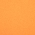 Плед "Экономь и Я" Оранжевый 150*130 см, пл.160 г/м2, 100% п/э - Фото 2