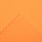 Плед "Экономь и Я" Оранжевый 150*130 см, пл.160 г/м2, 100% п/э - Фото 4