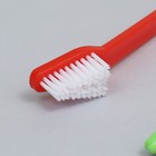 Зубная щётка двухсторонняя, набор 2 шт., красная и зелёная - Фото 3