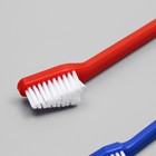 Зубная щётка двухсторонняя, набор 2 шт, красная и синяя - фото 8625585