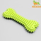 Игрушка жевательная литая «Кость с шипами», 15×6×2.5 см, салатовая - Фото 1