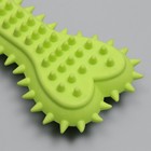 Игрушка жевательная литая «Кость с шипами», 15×6×2.5 см, салатовая - Фото 3