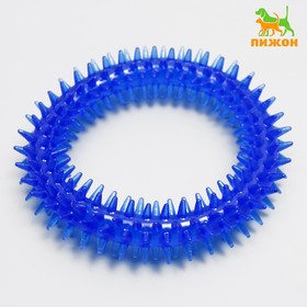 Игрушка для собак "Кольцо с шипами", 12,5 см, прозрачная, синяя