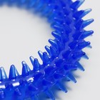 Игрушка для собак «Кольцо с шипами», 12.5 см, прозрачная, синяя - Фото 2