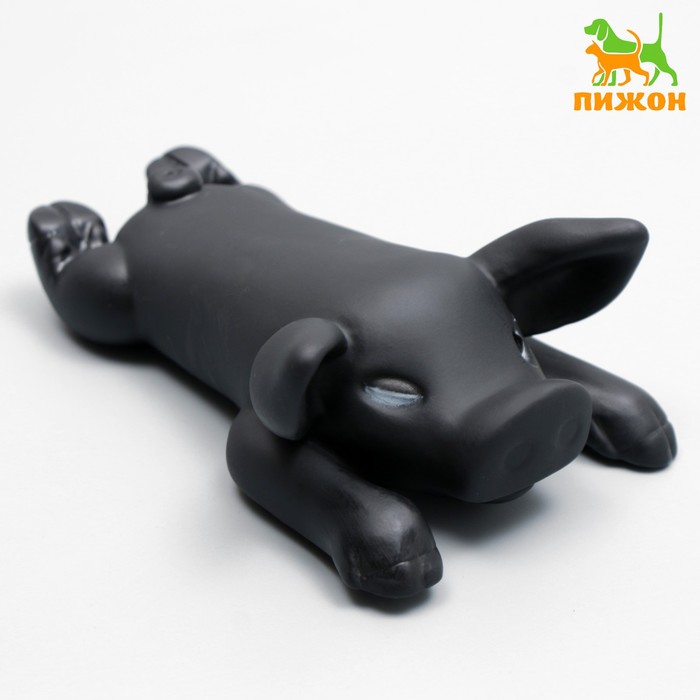 Игрушка пищащая "Свинья" для собак, 13 см, чёрная - Фото 1