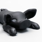 Игрушка пищащая "Свинья" для собак, 13 см, чёрная - Фото 4