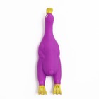 Игрушка пищащая "Летящая утка" для собак, 24 x 7 см, фиолетовая - Фото 2