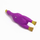 Игрушка пищащая "Летящая утка" для собак, 24 x 7 см, фиолетовая - Фото 3
