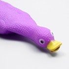 Игрушка пищащая "Летящая утка" для собак, 24 x 7 см, фиолетовая - Фото 4