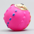 Игрушка для собак «Мяч Джим», 6 см, пищащая, розовая - Фото 2