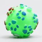 Игрушка пищащая "Мяч Лапка"для собак, 6,5 см, зелёная - Фото 2