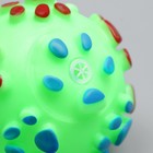 Игрушка пищащая "Мяч Лапка"для собак, 6,5 см, зелёная - Фото 3
