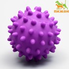 Игрушка пищащая "Колючий шар" для собак, 9 см, фиолетовая - фото 319722891