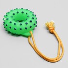 Игрушка пищащая "Кольцо на веревке" для собак, 10 см, зелёная - Фото 3
