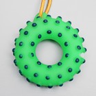 Игрушка пищащая "Кольцо на веревке" для собак, 10 см, зелёная - Фото 4