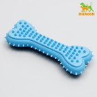 Жевательная игрушка для собак литая «Кость для массажа», 11×4×2 см, голубая - Фото 1