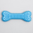 Жевательная игрушка для собак литая «Кость для массажа», 11×4×2 см, голубая - Фото 2