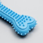 Жевательная игрушка для собак литая «Кость для массажа», 11×4×2 см, голубая - Фото 3
