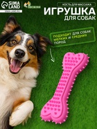 Жевательная игрушка для собак литая «Кость для массажа», 11×4×2 см, розовая - Фото 1