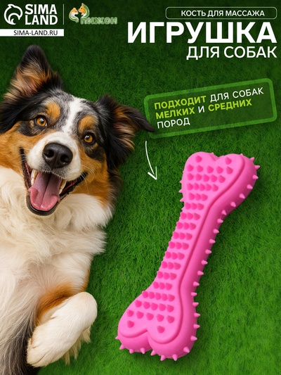 Жевательная игрушка для собак литая «Кость для массажа», 11×4×2 см, розовая