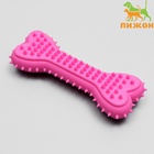 Жевательная игрушка для собак литая «Кость для массажа», 11×4×2 см, розовая - Фото 3