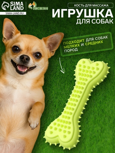 Игрушка жевательная литая «Кость для массажа», 11×4×2 см, салатовая