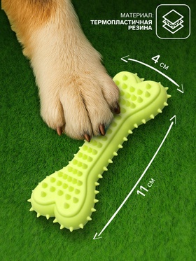 Игрушка жевательная литая «Кость для массажа», 11?4?2 см, салатовая (комплект 2 шт)