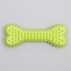 Игрушка жевательная литая «Кость для массажа», 11×4×2 см, салатовая 7159772