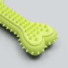 Игрушка жевательная литая «Кость для массажа», 11×4×2 см, салатовая 7159772