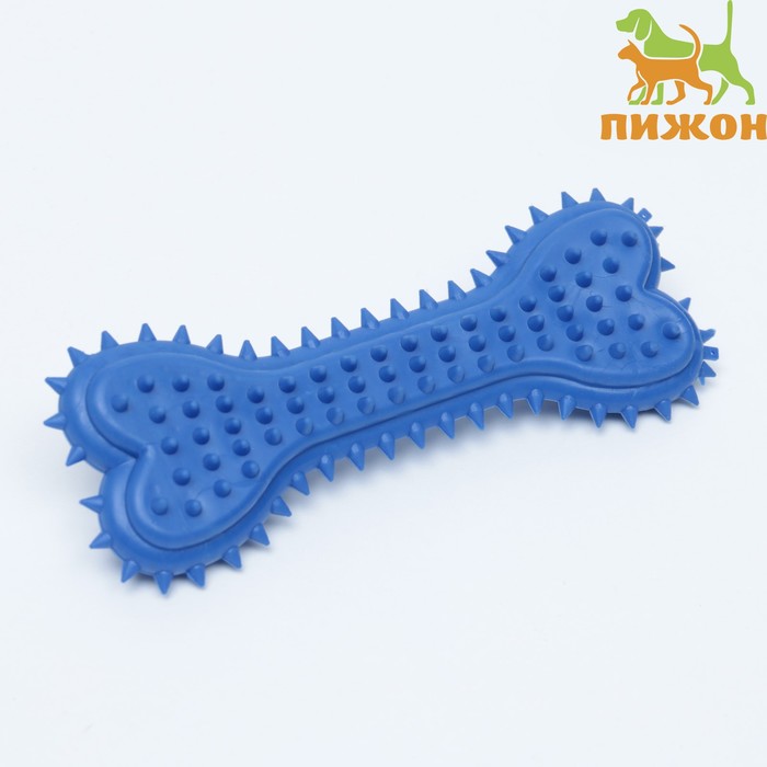 Жевательная игрушка для собак литая «Кость для массажа» большая, 15×6×2.5 см, синяя
